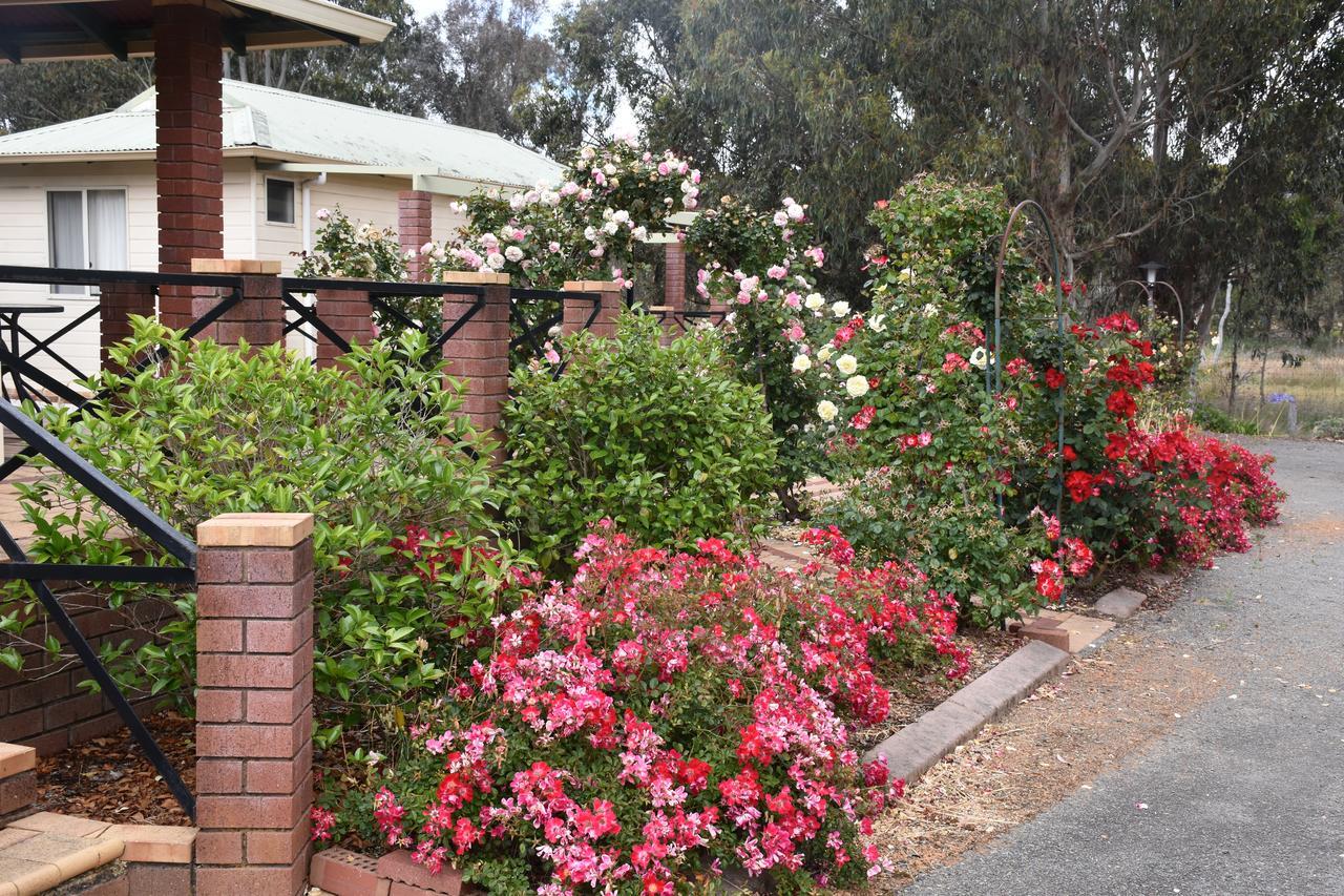 Mount Barker Valley Views Motel & Chalets, Western Australia Exterior photo
